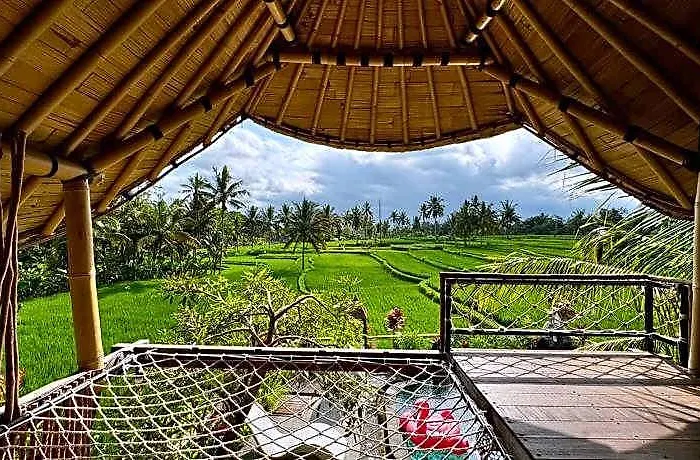 Susi Ubud Bed and breakfast Kelusa